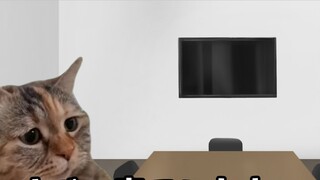 [Daging yang Dimasak] Kehidupan sehari-hari bekerja di Perusahaan Produksi Film Nantong (Bab Pendara