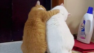 Love and hate happen in an instant