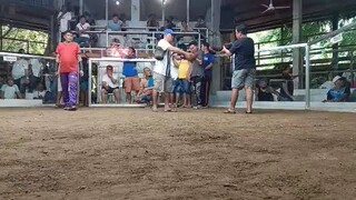 WiN Entry name TiGRE Ng DAVAO