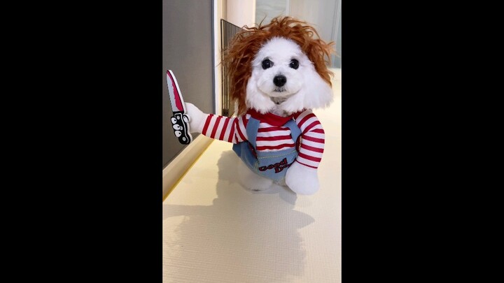 ฮ่าๆ น่ารักสุดๆ!