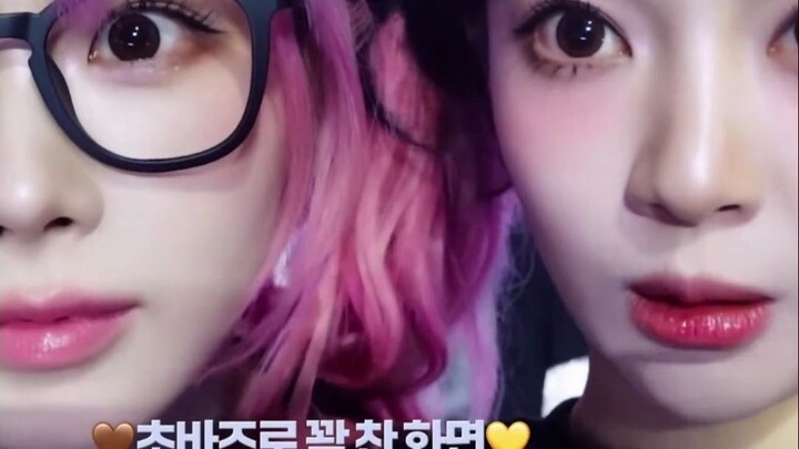 How do K-pop girl group members nickname their teammates? Some of the nicknames are hilarious! #gise