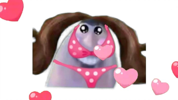 Hello everyone! I’m your perfect girlfriend.