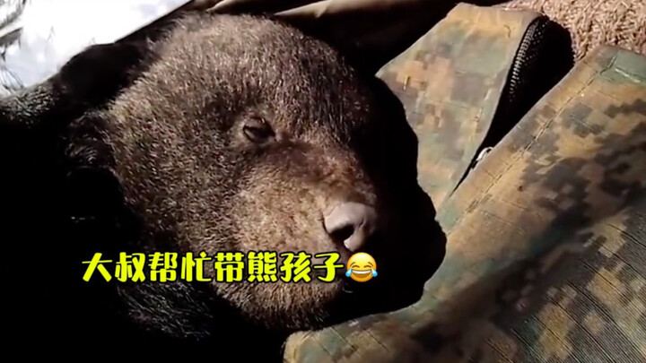 Seorang pria paruh baya dari luar negeri menemukan tiga anak anjing kecil di mulut gua di bukit bela