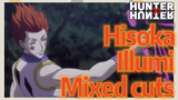 Hisoka Illumi Mixed cuts
