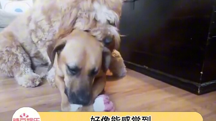 Baby, you’re like a stuffed toy that might shut down at any moment!