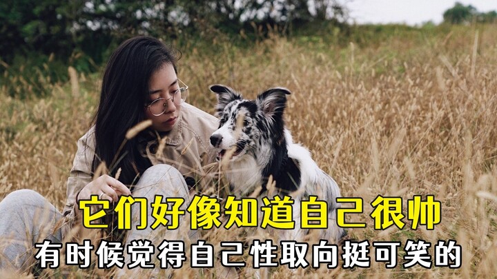 يبدو أنهم يعلمون أنهم وسيمون جدًا، لدرجة أن ميولهم الجنسية لم تعد إنسانية.