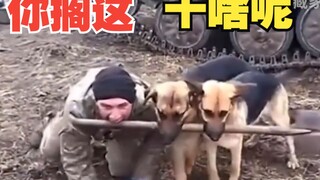 “我也想这样的快乐生活”
