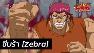 Toriko - ประวัติ ซีบร้า Zebra