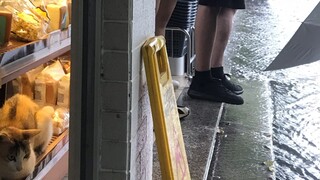 You will meet unexpected friends while hiding from the rain.