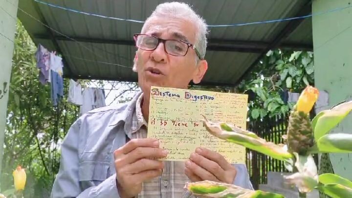 Sistema digestivo. Santuario de vida microscópica | Peter Hernández