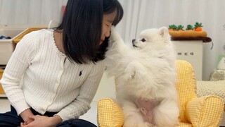 Điều gì sẽ xảy ra với bạn nếu bạn cứ nhìn chằm chằm vào chú chó con?