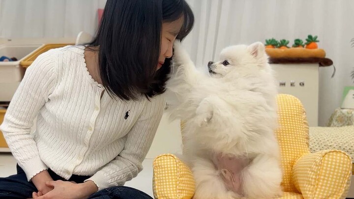 What will happen to you if you keep staring at the puppy?