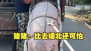 Chu Chu: Còn đáng sợ hơn cả đến miền Bắc Myanmar