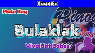Bulaklak by Viva Hot Babes (Karaoke : Male Key)