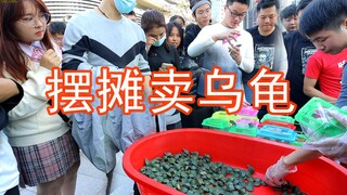 摆摊把666只乌龟卖了，金额随便付，最高有人付一千！