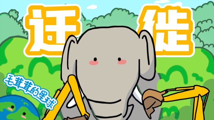 【เกร็ดน่ารู้ขนฟู】ช้างเดินแล้ว!