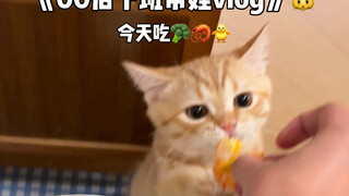 虾仁我吃！吃！吃！