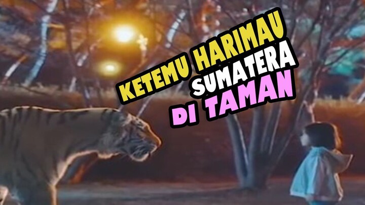 HARIMAU YANG BISA MERAMAL