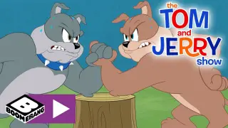 The Tom and Jerry Show | Big Brother  | Boomerang UK ðŸ‡¬ðŸ‡§