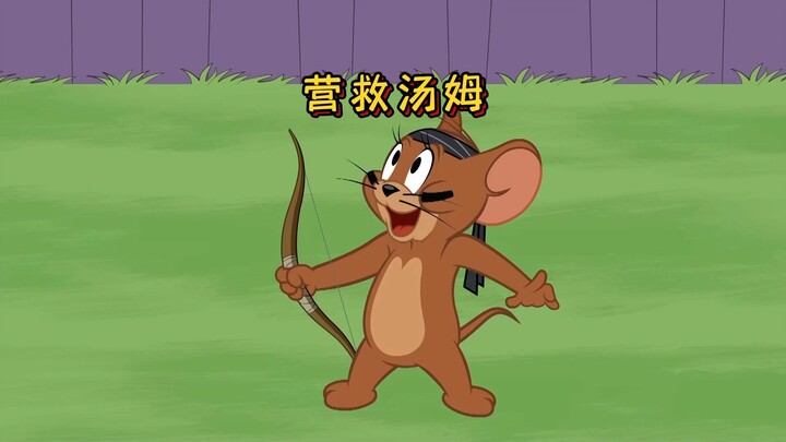 没了汤姆的追逐，杰瑞感到非常的孤单！