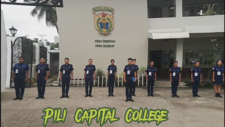 Internship Journey (Pili Capital College Incorporated)