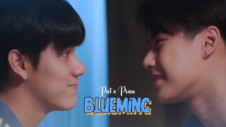 PAT x PRAN BAD BUDDY - บลูมิง