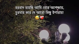 বরবাদ হয়েছি আমি তোর অপেক্ষা চুরমার করে দে আরো কিছু ইশারায়