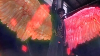 Anku beautiful wings