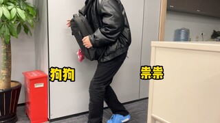 狗狗崇崇