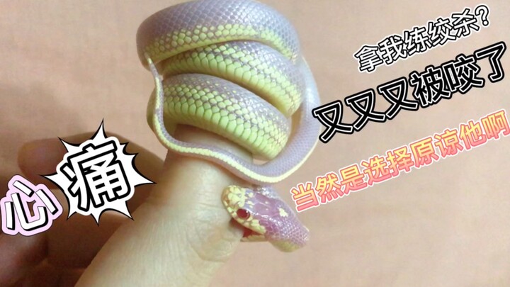 【Ular Cilik Temperamental Sering Gigit Orang Online】Lagi-lagi Digigit Anak Nakal! Ya Apalagi Kalau B