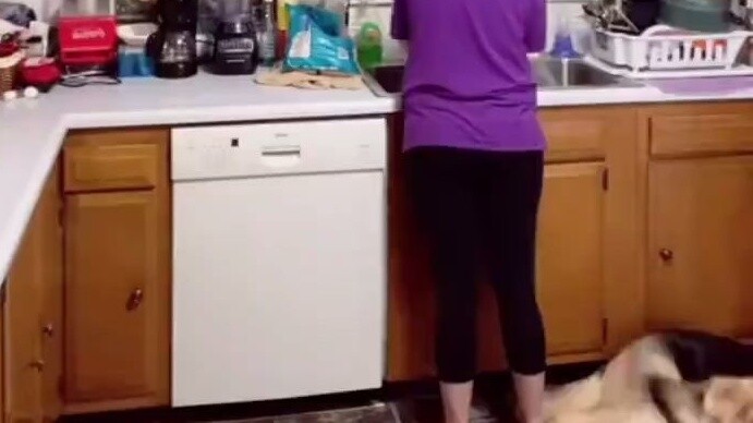 The 14-year-old cat said his final goodbye to his little owner before leaving. He returned to the pl