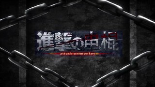 电棍：国玉的弓矢