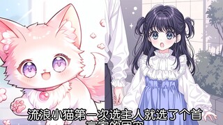 流浪猫猫在线选主人，意外成为团宠