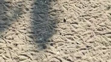 moonwalker vs Roundhead