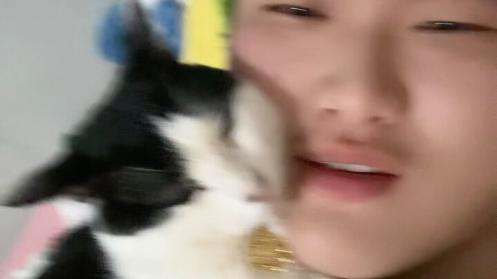 Mọi người cho vài lời khuyên đi!