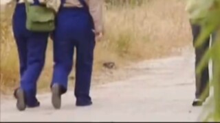 Ini benar-benar satu ukuran yang cocok untuk semua