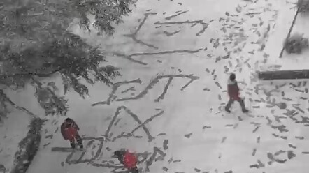 แนะนำให้เปลี่ยนเป็น: ไก่ดุจหิมะ