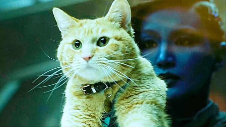Who could possibly resist an adorable big orange cat that can swallow the entire universe?!