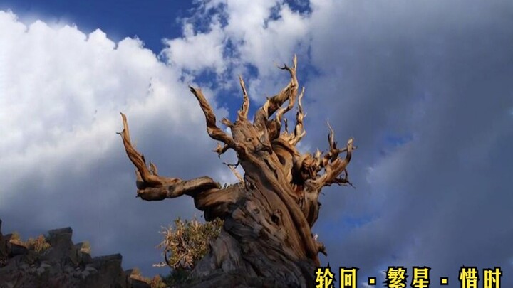 ท่ามกลางดวงดาวระยิบระยับที่ขึ้นๆ ลงๆ ตามจังหวะของตะวันและจันทรา และในความเปลี่ยนแปลงหมุนเวียนของสี่ฤ