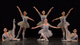 HD 1080p | La Comedie Ballet The Concert - Mistake Waltz Long Excerpt
