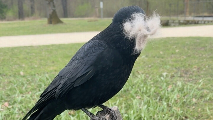 จะมีคู่รักคู่ไหนที่ไม่ทะเลาะกันตอนแต่งบ้านล่ะ?