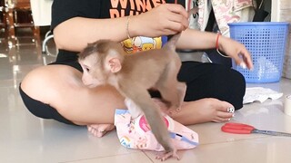Baby Lion So Happy When Mom Change Diaper For Him