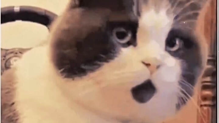 For the first time, I had a concrete understanding of cultural invasion. Before we went out of the w