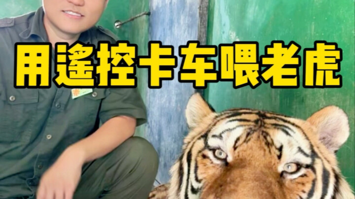 我感觉我可以下岗了！