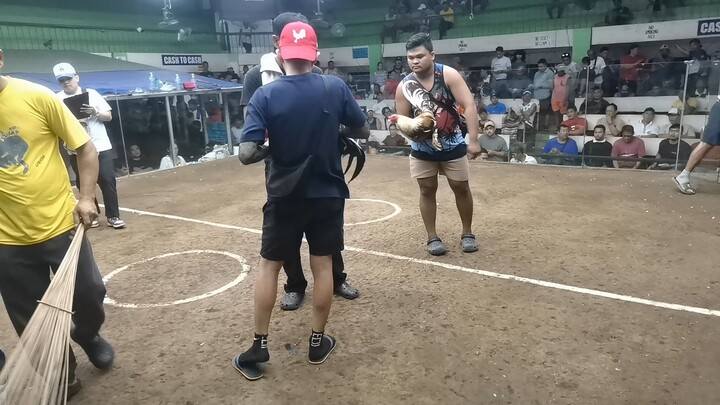 5k sweater,  4x winner na 💪🐓👏