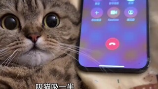 看我不吓死你