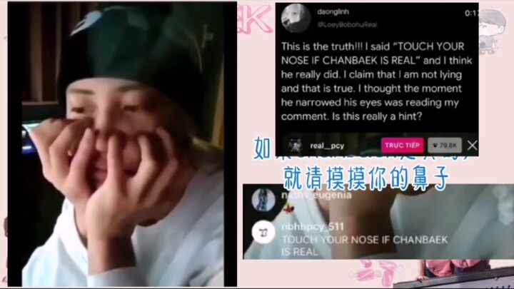 [Canbai] The nose-touching incident during the livestream / It’s really, really, really true!