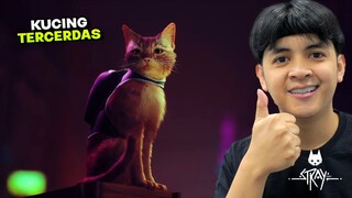 KISAH SEDIH SEEKOR KUCING YANG TERPISAH DARI KELUARGANYA