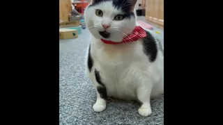 เรื่องกินเรื่องใหญ่