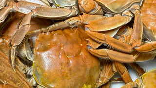 [Liu Xiaoqian mengajarkan memasak 7] Master Up sedang menjelajah, selamat menonton dan minta tiga su